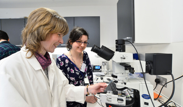 Two conservation scientists examine a building material under a microscope in a lab